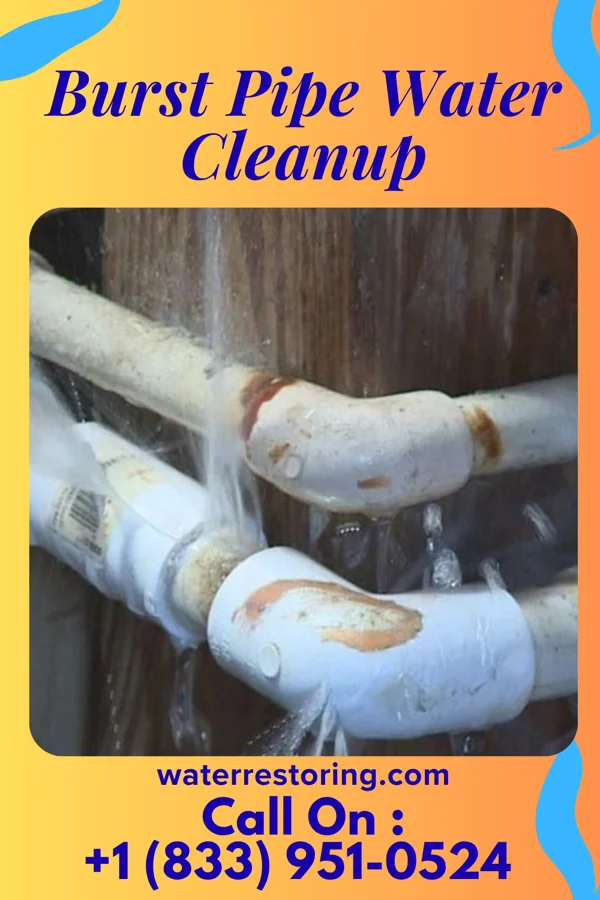 Burst Pipe Water Cleanup in Bigelow Corners, CT