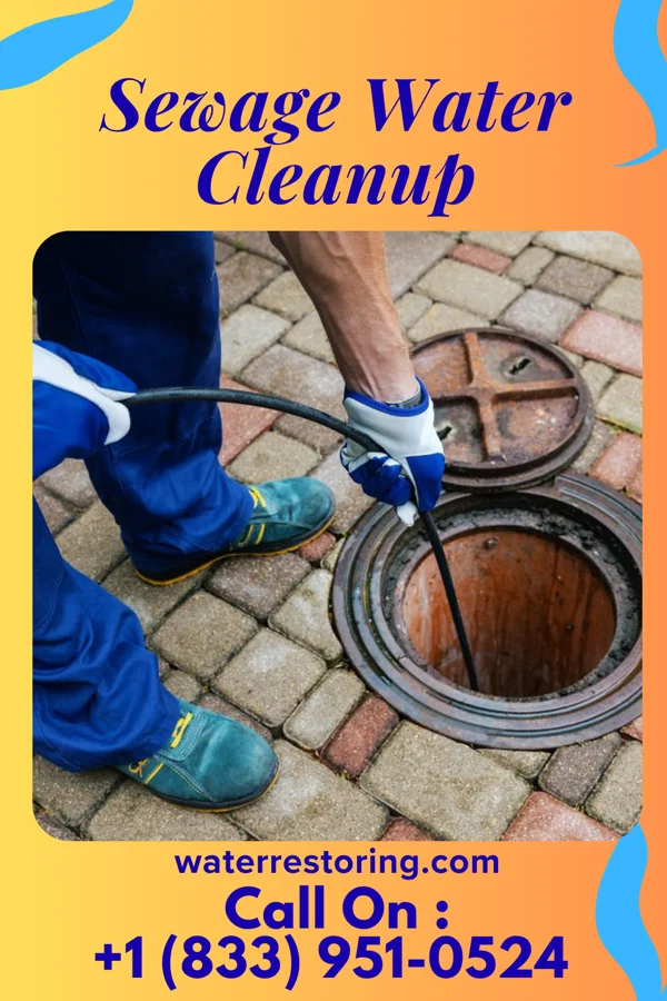 Sewage Water Cleanup in Bigelow Corners, CT